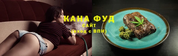 дмт Алексин