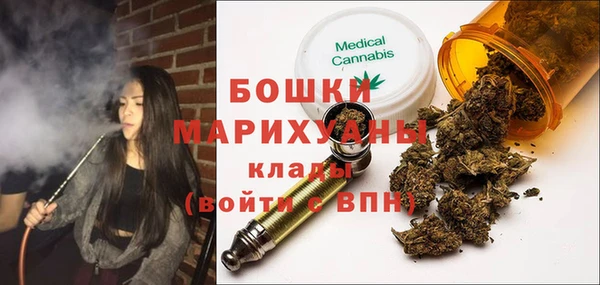 дмт Алексин