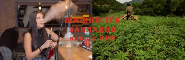дмт Алексин