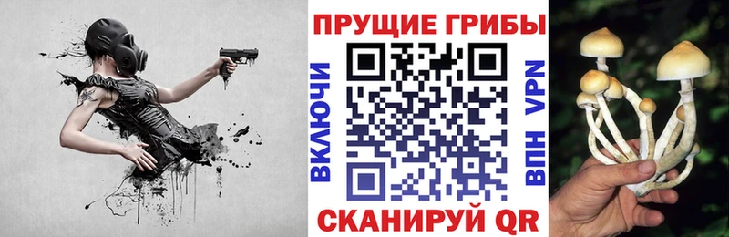 Галлюциногенные грибы ЛСД  продажа наркотиков  Славск 